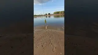 Ловим щуку.