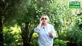 Лариса Гузеева о сервисе участка от компании "Русские газоны"