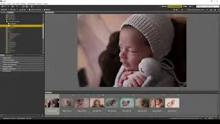Adobe Bridge - Curso de Photoshop para fotografía newborn