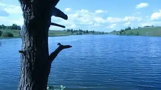 От бассейна к водоему (СПР 25.05.2023, г.Почеп)