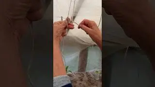 Завяжем бегающий узел или бант, для повязки рассады.