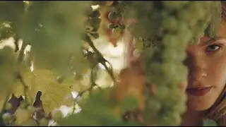 Hoxtones & DFE feat. Lina Moore - 2 Times [Official Video]