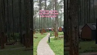 Kapan lagi jalan santai di tengah hutan pinus Cikole Bandung
