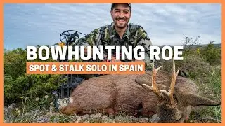 HAMELIN - CALLING A ROE BUCK WITH A COYOTE CALL - BOWHUNTING DEER SPOT & STALK / CAZA CORZO CON ARCO