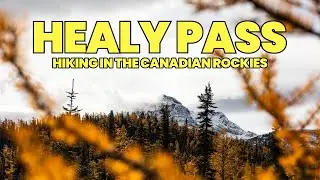 Golden Larch Hikes in BANFF NATIONAL PARK - Healy Pass Trail