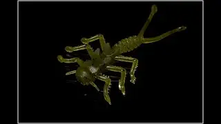 Съедобная резина Microkiller и испытание ее на рыбалке