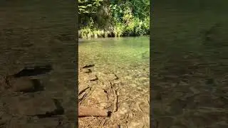 Râul Sărății, Munții Făgăraș🇷🇴🤗😍❤️