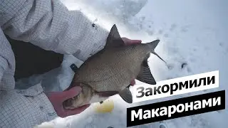 Bream fishing in the dead of winter. Secret bait is a lifesaver. Bream always stay near baited ho...