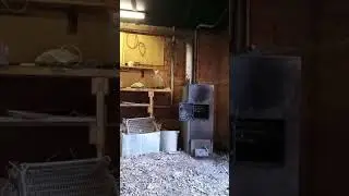 Чистка печки питардой ）.....