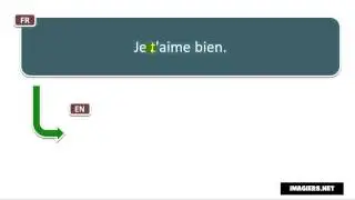 Say it in French = I like you