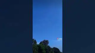 laisvi tik paukščiai