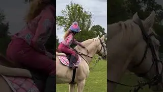 Jokes on your 17h stallion 