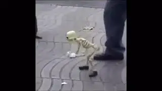 Clean memes I show my friends