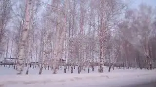 Елово на рассвете, февраль 2023