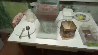 Делаем Артемию и Продаём Скалярок!!! ч.2