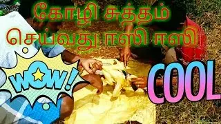 கோழி சுத்தம் செய்வது எப்படி? | very easy chicken cleaning!!!