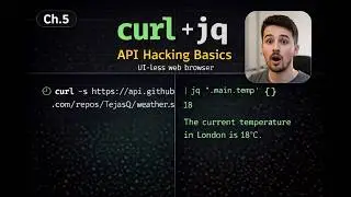 Make API Calls from the Terminal – curl, JSON & jq for Hackers Explained (Ch.5)