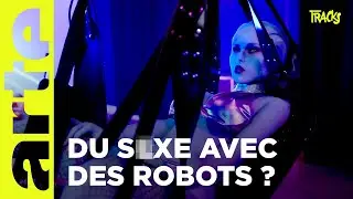 Robots sexuels : quand le fantasme devient réalité | Tracks | ARTE