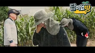 감사합니다, 이장님... (EP.17 답이없땅)