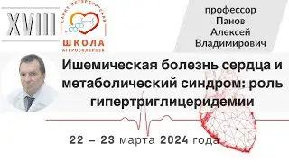 Ишемическая болезнь сердца и метаболический синдром: роль гипертриглицеридемии