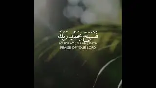 Soothing Quran Recitation 😍 | #quranrecitation
