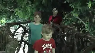 Владивосток.Океанариум 4 ч. (Тропический лес.) 13.06.2018