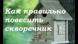 Как правильно повесить скворечник )))