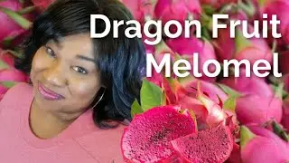 Dragon Fruit Melomel - Episode 24