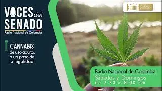 Alcances de la regulación de la Cannabis en Colombia I #VocesDelSenado sábado 10 de junio