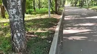 крутой котик 2006 гуляет в парке