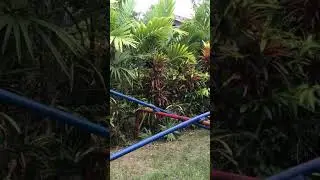 Hapag kainan sl Barangay Silangan Infanta,Quezon