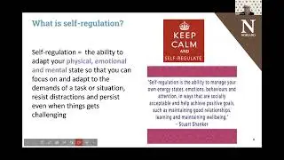 Norland Unwrapped — Taster session on self-regulation and emotion coaching (November 2023)