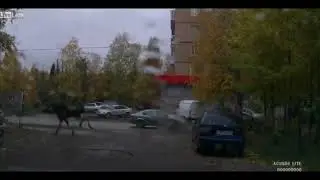 А в это время где-то в Сибири...