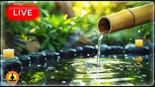 🔴 Relaxing Music 24/7, Stress Relief Music, Sleep Music, Meditation Music, Study, Calming Music