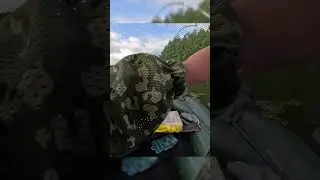 Щука на неогруженную силиколновую приманку Narval Choppy Tail  
