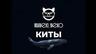 MANEKI NEKO МОДУЛЬ D100