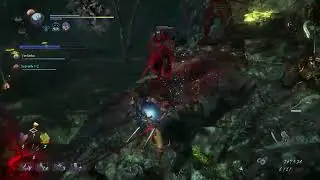1st run.Nioh2 Hero.Online gmplay2