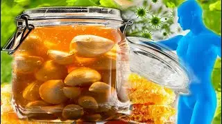 Рецепт мёда с чесноком от бабушки травницы