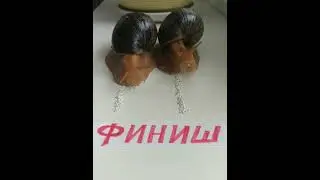 Улиточные Гонки. Хитрая улитка вырвала победу у соперницы в САМЫЙ ПОСЛЕДНИЙ МОМЕНТ...