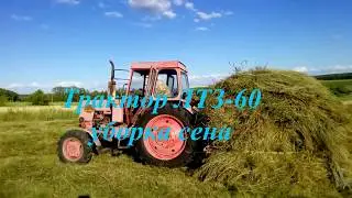 Наш любимый СЕНОКОС. Заготовка сена.Трактор ЛТЗ- 60  с вилами.
