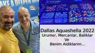 Aquashella Dallas 2022 | Meta Reef Aquarium | Mehmet Hakan TATLICI