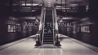 macOS Terminal - cat