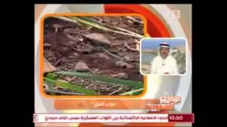 2/1 النمل وفنون الحرب