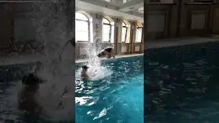 #викусяродионова #тренд2024 #dance
