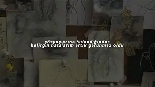 jonghyun // diphylleia grayi「türkçe çeviri」