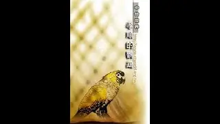 Buddhist Story | The Filial Parrot