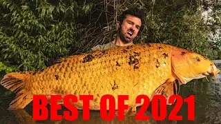 Top Fishing Moments from 2021 I FreestyleFishing