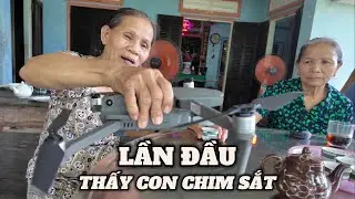 GIÀ LÀNG ĐI ĂN GIỖ DƯỚI QUÊ GẶP MẤY BÀ GIÀ HÁ MỒM TRÒN XOE MẮT VÌ LẦN ĐẦU TIÊN THẤY CON CHIM SẮT