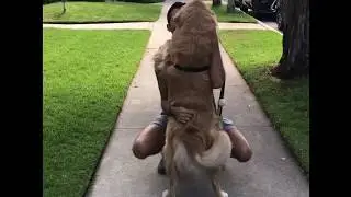 Sometimes A Hug Is All You Need