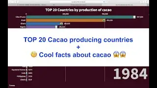 TOP 20 Countries by production of cacao & Cool facts about cacao